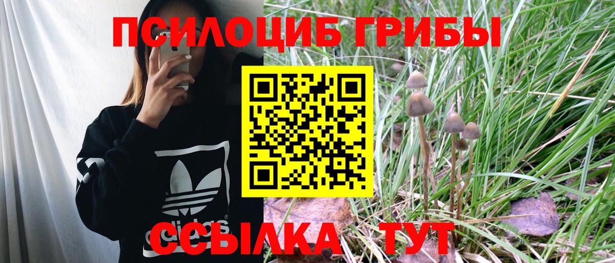 Галлюциногенные грибы ЛСД  Вход с VPN  Галлюциногенные грибы Magic Shrooms  Новороссийск 