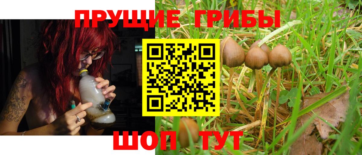 Галлюциногенные грибы ЛСД Новороссийск